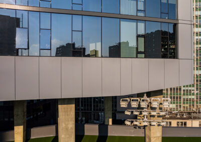 Long Island University
